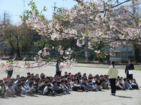 校庭で学年集会を行っていました